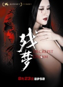 掌上明珠：从头到尾的游戏攻略分享